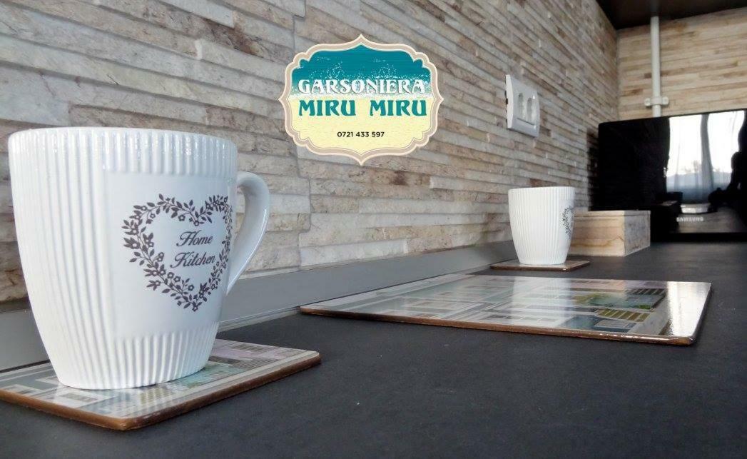 Garsoniera Miru Miru Apartment Navodari Exterior photo